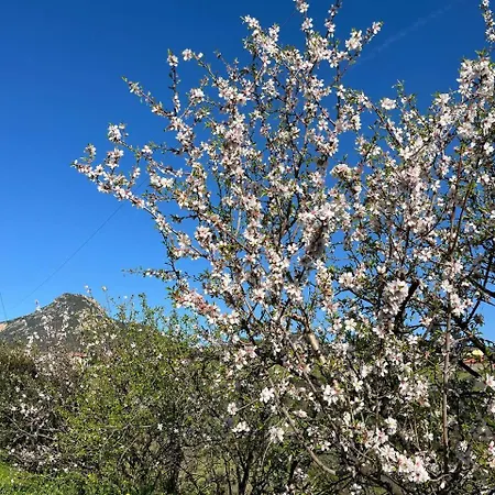 Casa Il Mandorlo בית נופש