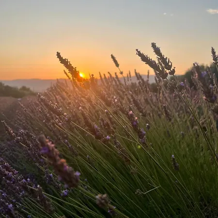 Casa Il Mandorlo בית נופש Domusnovas