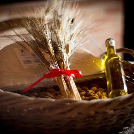 Casa Il Mandorlo Domusnovas