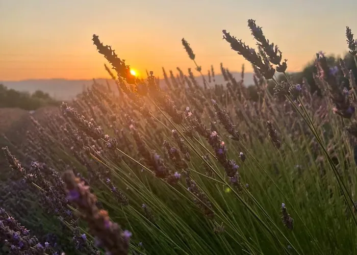 Casa Il Mandorlo Feriehus Domusnovas